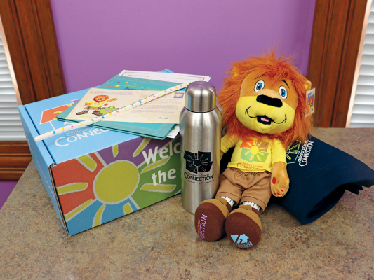 photo of welcome box items including louie lionheart stuffed animal